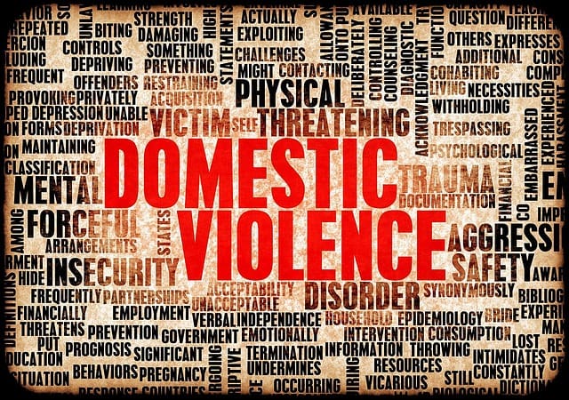 Acme Bail Bonds: Understanding Domestic Violence Bond Requirements